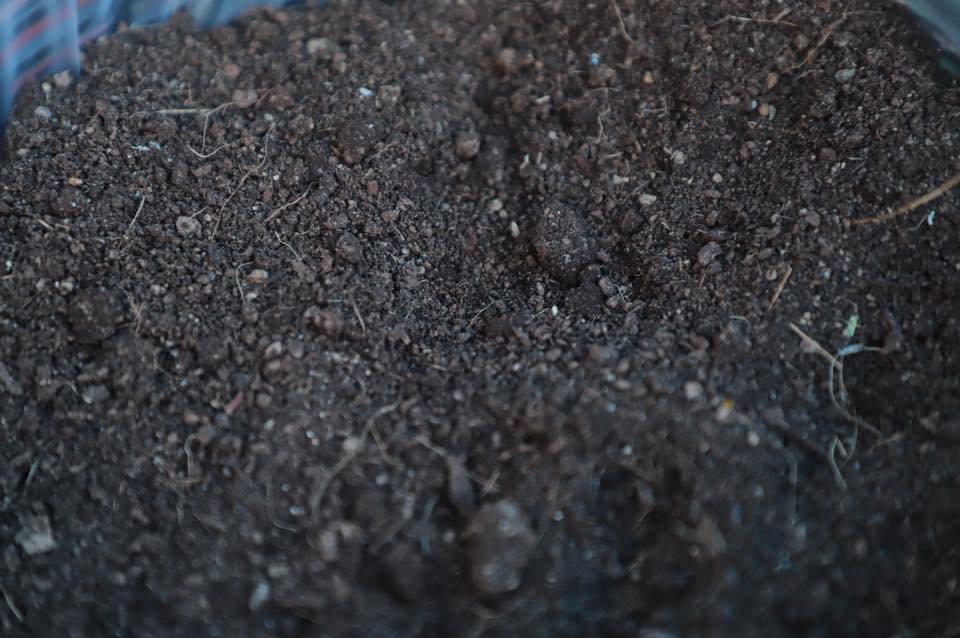 title - เลขาฯ ส.ป.ก. พร้อมคณะ ร่วมลงพื้นที่ติดตามคณะ รมช.กษ. ตรวจราชการ ณ ตำบลอ่าวลึก